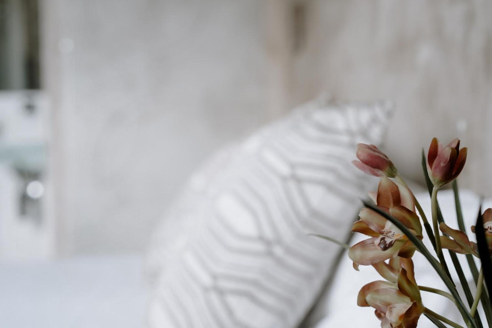 Ideal Sejour Cannes - Stylish Boutique Hotel With Quiet Garden Exteriér fotografie